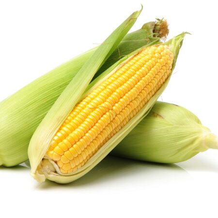 Maize-farming